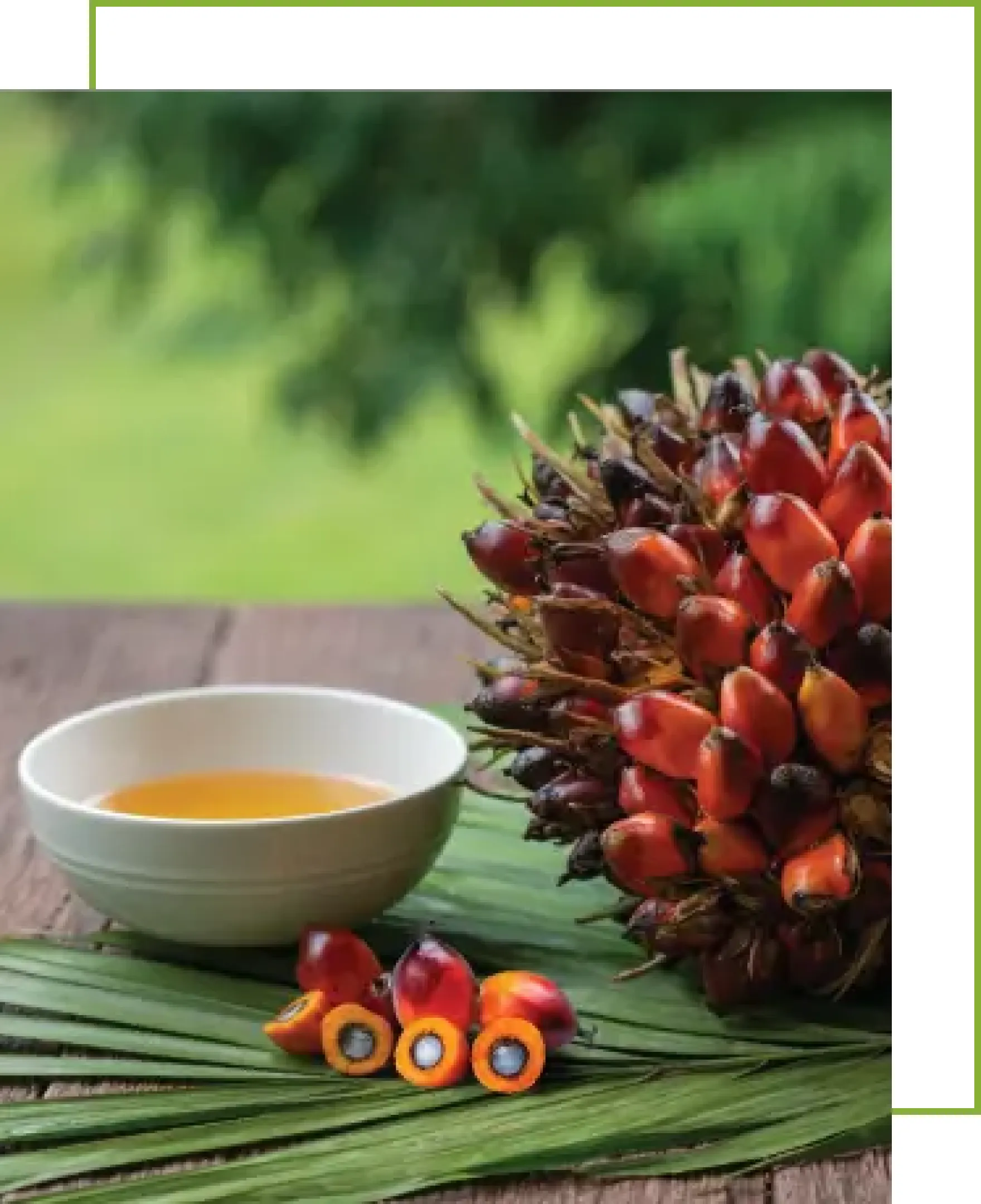 Market Spread Palm Chemicals